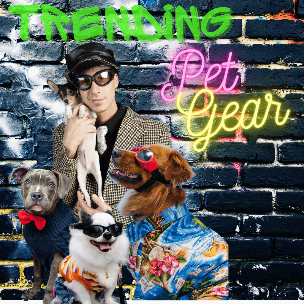 Dog Gear