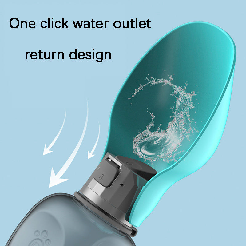 On the Go Water Bottle