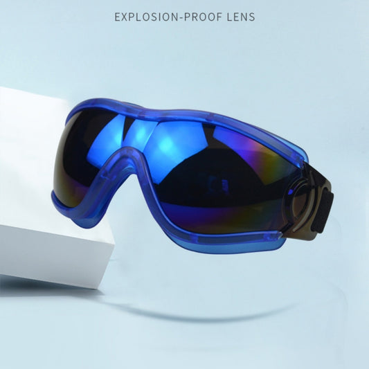 Storm Chaser Dog Goggles