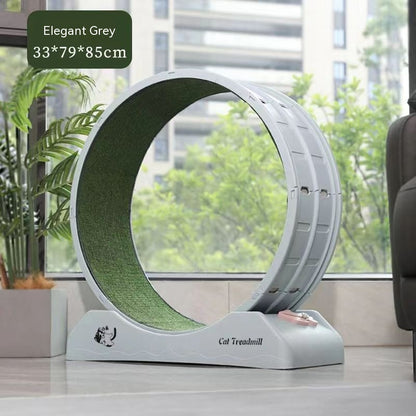 Cardio Queen Cat Wheel