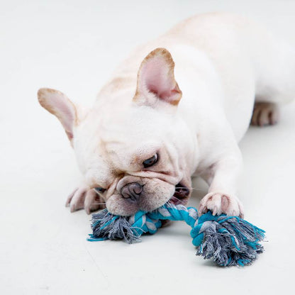 Outdoor Tough Dog Mat