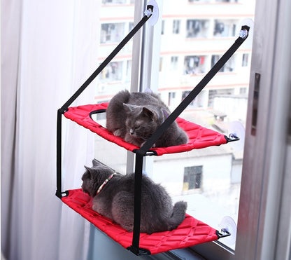 Main Character Cat Perch