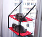 Main Character Cat Perch