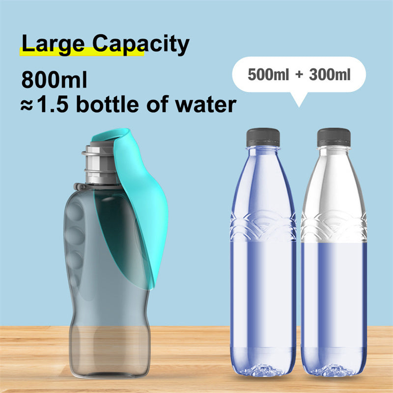 On the Go Water Bottle
