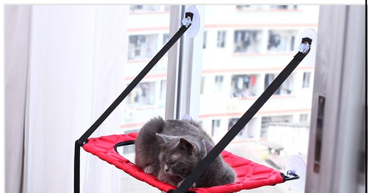 Main Character Cat Perch