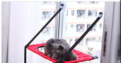 Main Character Cat Perch