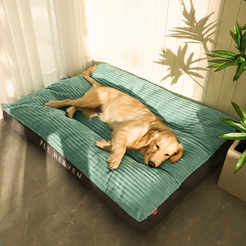 No Negotiations Pet Bed