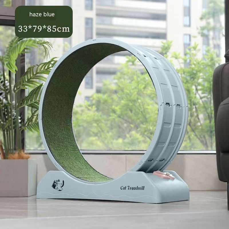 Cardio Queen Cat Wheel