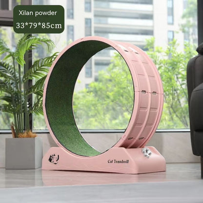 Cardio Queen Cat Wheel
