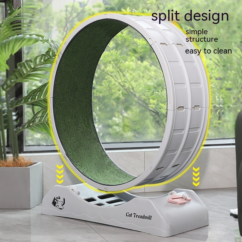 Cardio Queen Cat Wheel