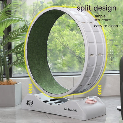 Cardio Queen Cat Wheel