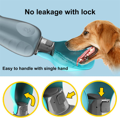 On the Go Water Bottle