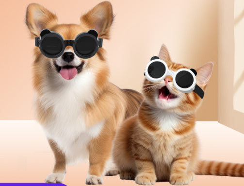 Too Cool For You Sunglasses
