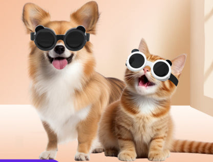 Too Cool For You Sunglasses