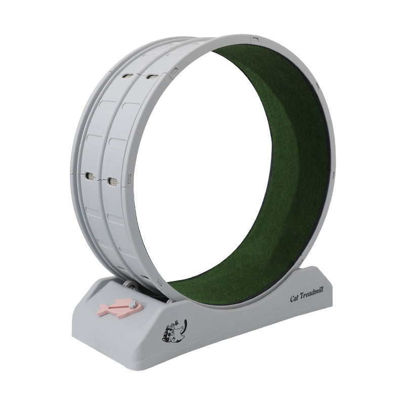 Cardio Queen Cat Wheel