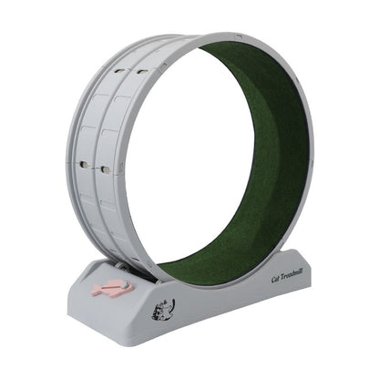 Cardio Queen Cat Wheel