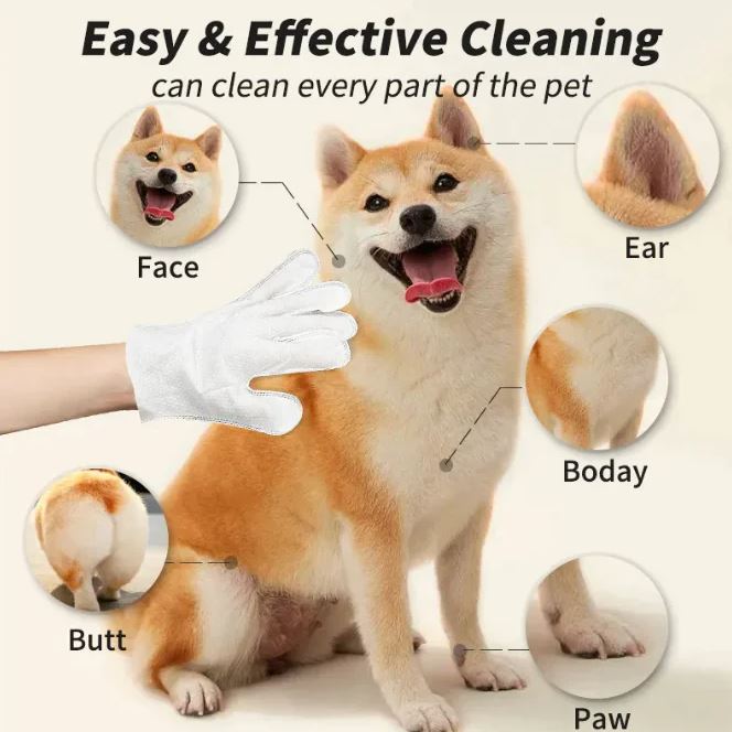 Clean Up Crew
