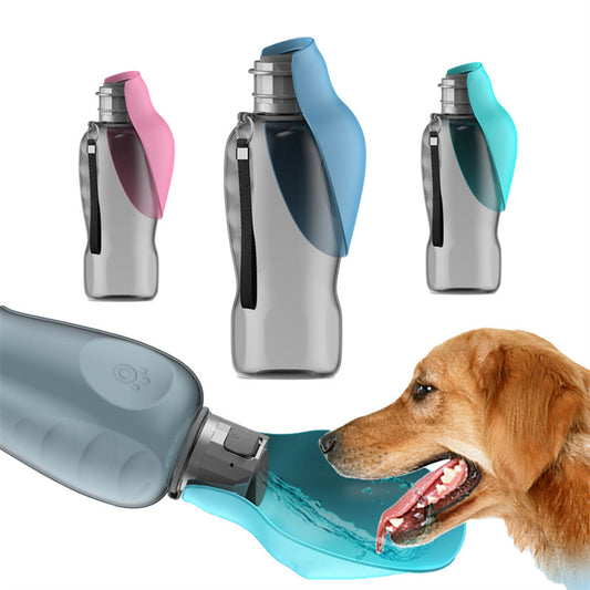 On the Go Water Bottle